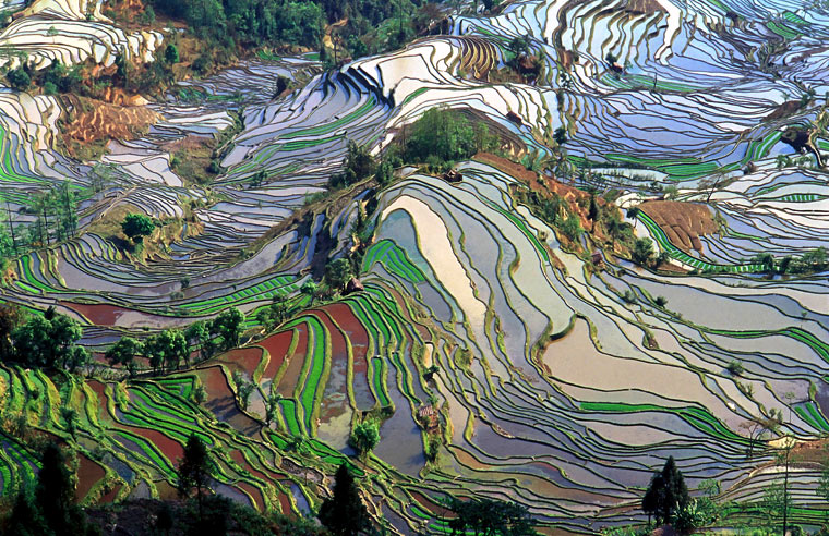 Tarasy ryżowe w Yunnan
